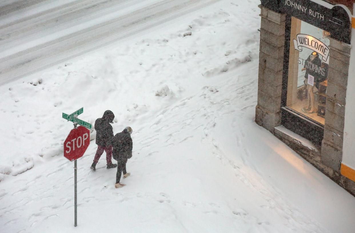 Another winter storm is expected to bring as much as 25 cm of snow to parts of the Avalon. (Paul Daly/The Canadian Press - image credit)