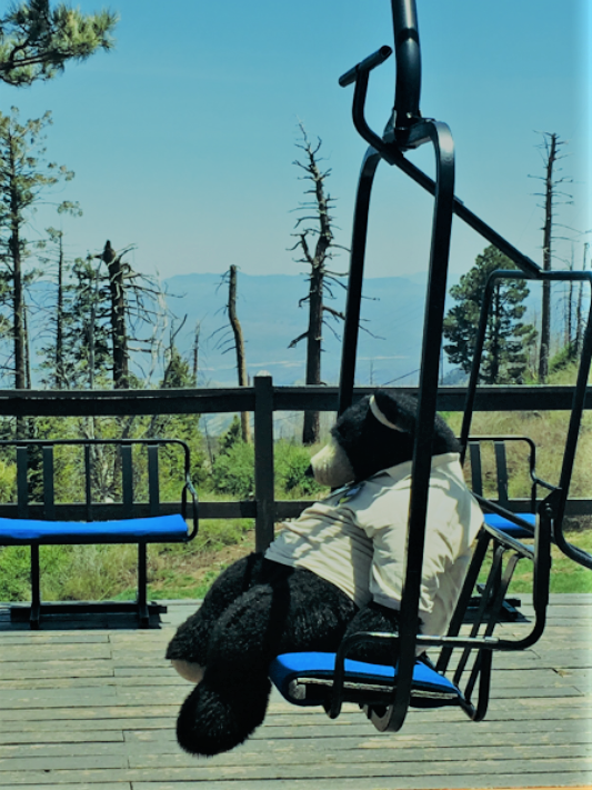 Dressed in his summer employee workshirt, stuffed bear Bart gets ready for a day of riding the chairlift at Mt. Lemmon Ski Valley in Mt. Lemmon, Arizona on June 27, 2021.