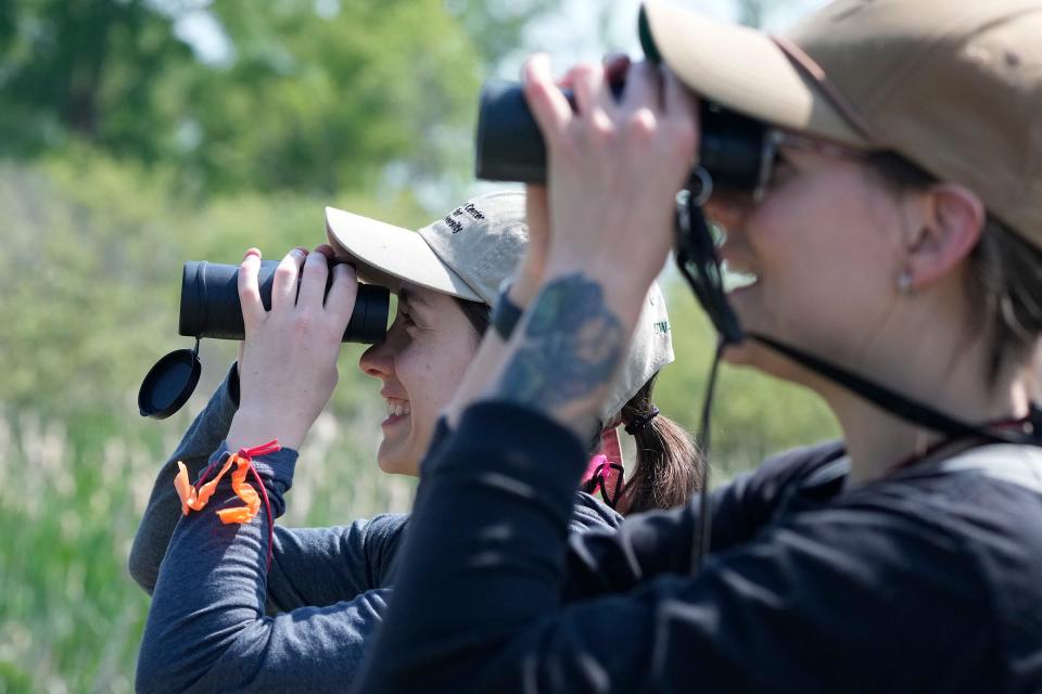University of Wisconsin-Green Bay biology students Haley Spargur (left), an anuran technician, and Sarah Baughman, a bird technician, look for birds off Sunset Beach Lane in the Sensiba State Wildlife Area in Suamico June 8, 2023.