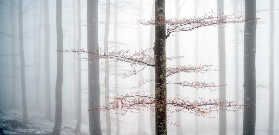 "Winter and Spring" by Paolo Giudici.