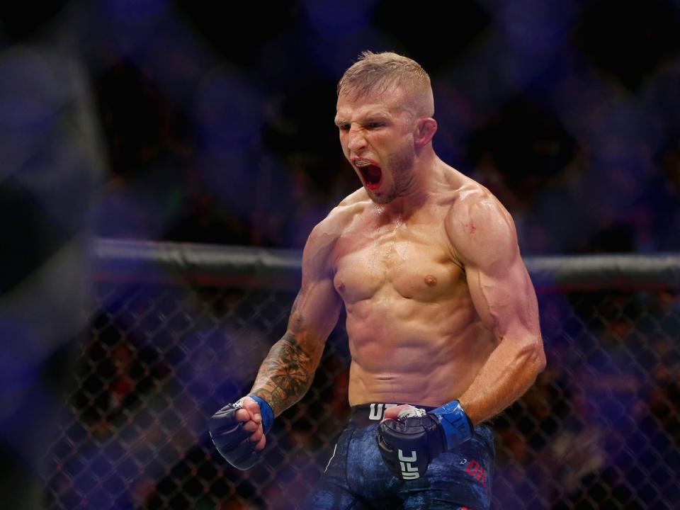 Dillashaw has fought and won once since completing a two-year suspension (Getty)