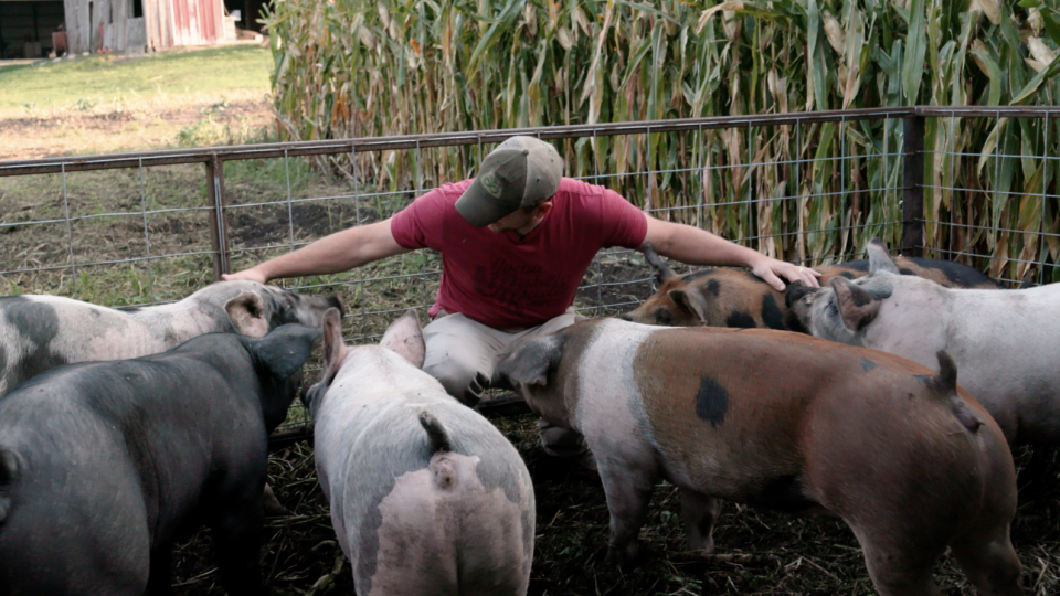 Farmer Zack Smith with some of his pigs in the Cluster Cluck 5000.