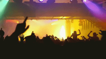 A GIF of a rave with people's hands in the air and lights flashing