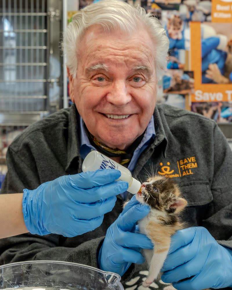 Robert Wagner helped out during this busy kitten season by taking a feeding shift at a Best Friends Animal Society kitten nursery