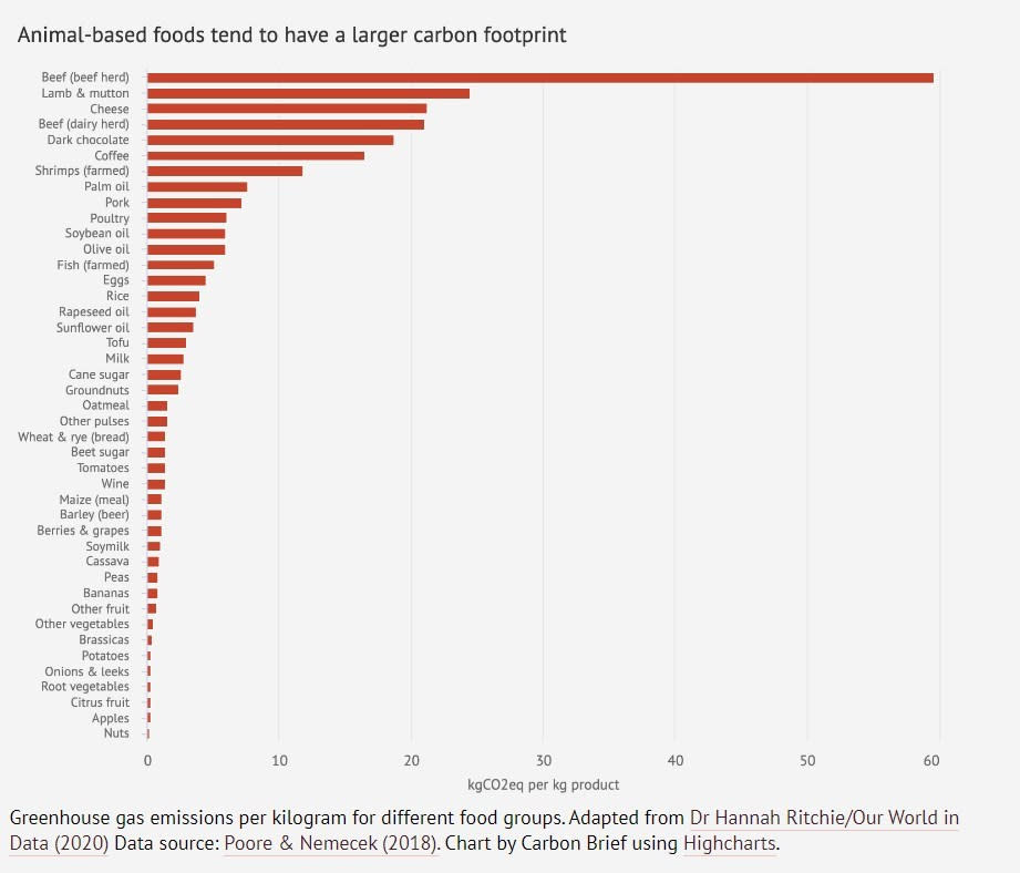 <span>Capture d'écran du graphique de l'empreinte carbone du site Carbon Brief faite le 6 mars 2024</span>