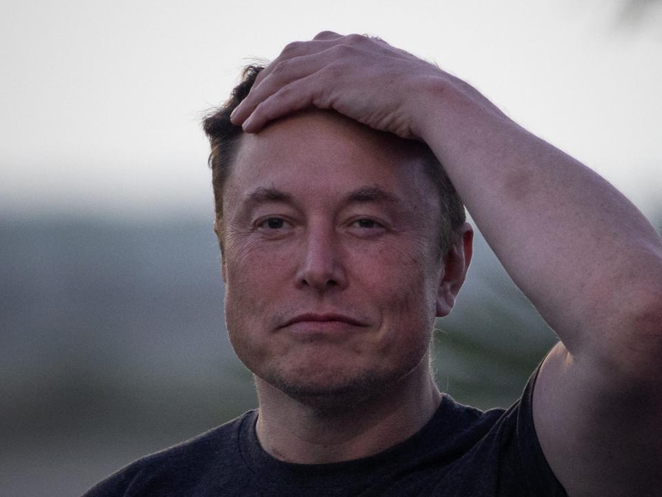 A picture of Elon Musk from the shoulders up. He's wearing a black t-shirt and clasping his left hand to his head with a calm expression on his face.