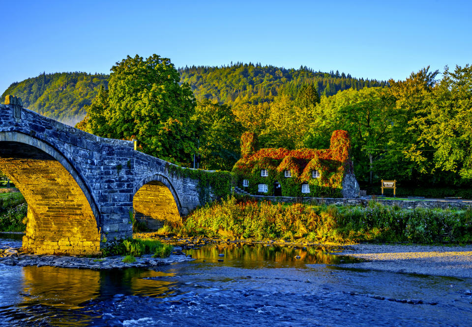 <p>The Virginia creeper covering the Tu Hwnt l'r Bont Tearoom on the banks of the River Conwy in Llanrwst, north Wales, begins to change colour as autumn approaches. Picture date: Monday September 20, 2021.</p>
