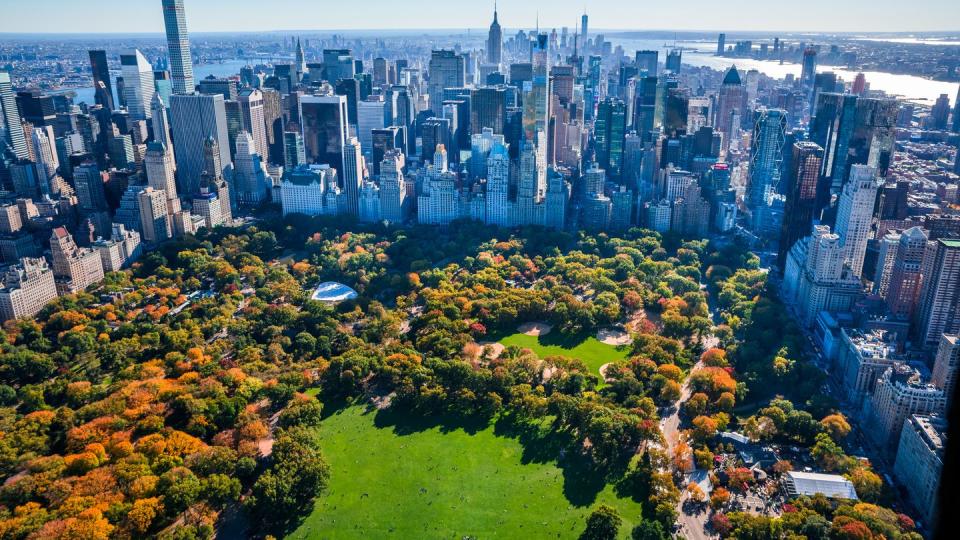new york city skyline, central park, autumn foliage, aerial view