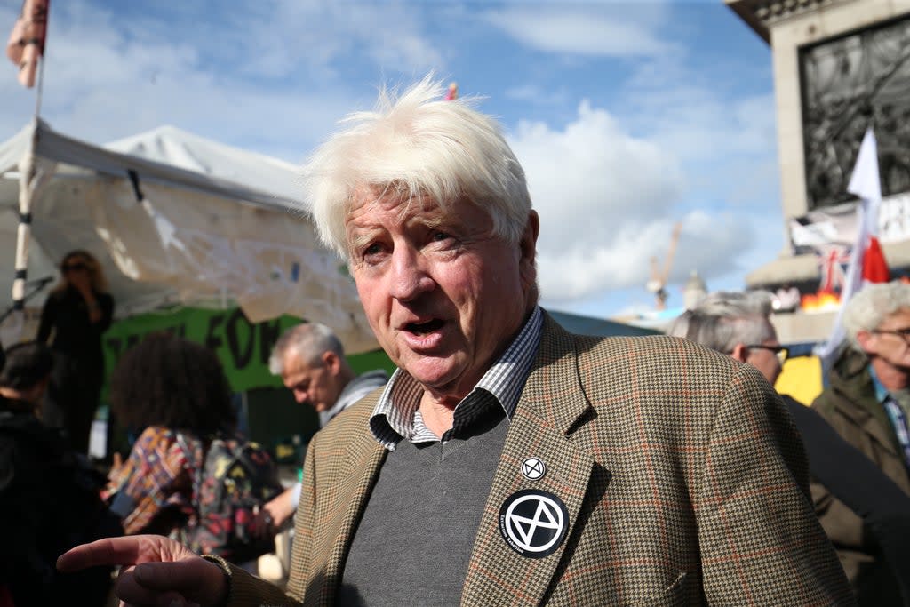 Stanley Johnson (Jonathan Brady/PA) (PA Archive)