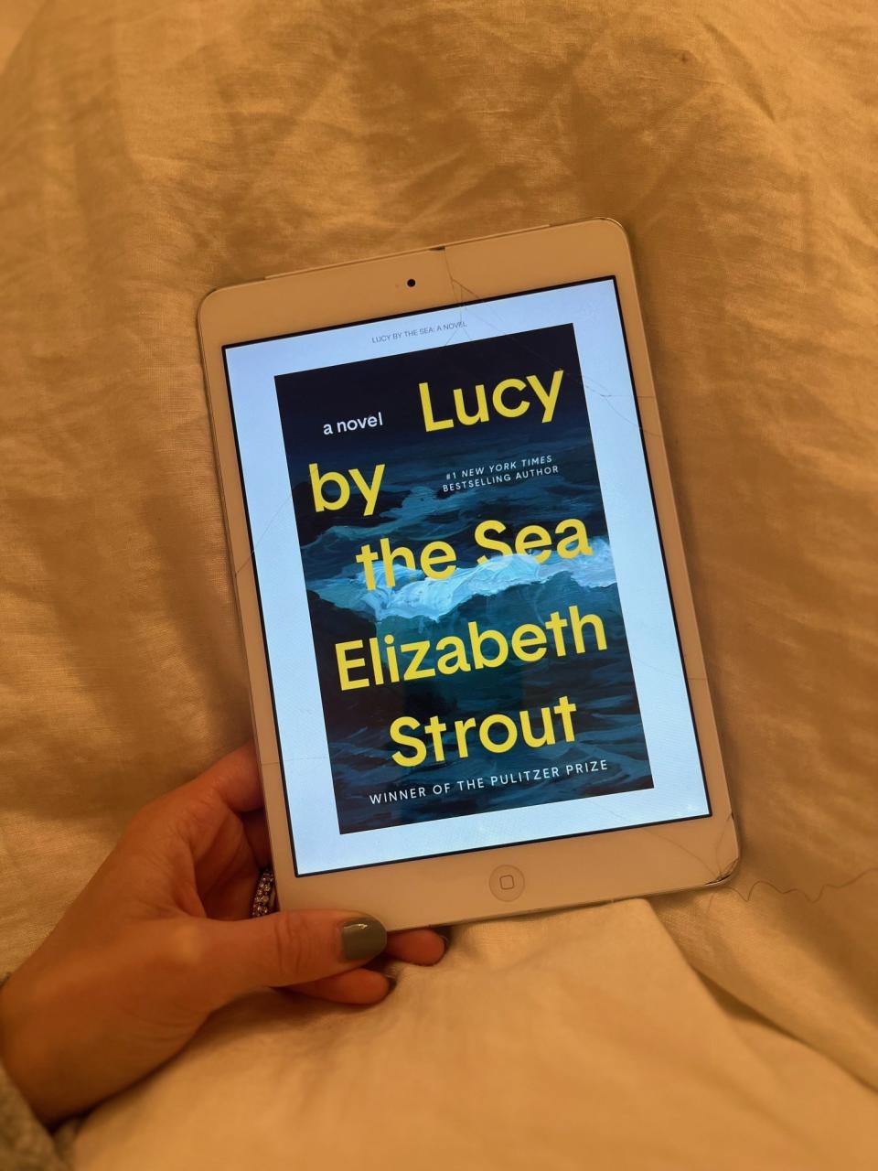 "Lucy By The Sea" by Elizabeth Strout