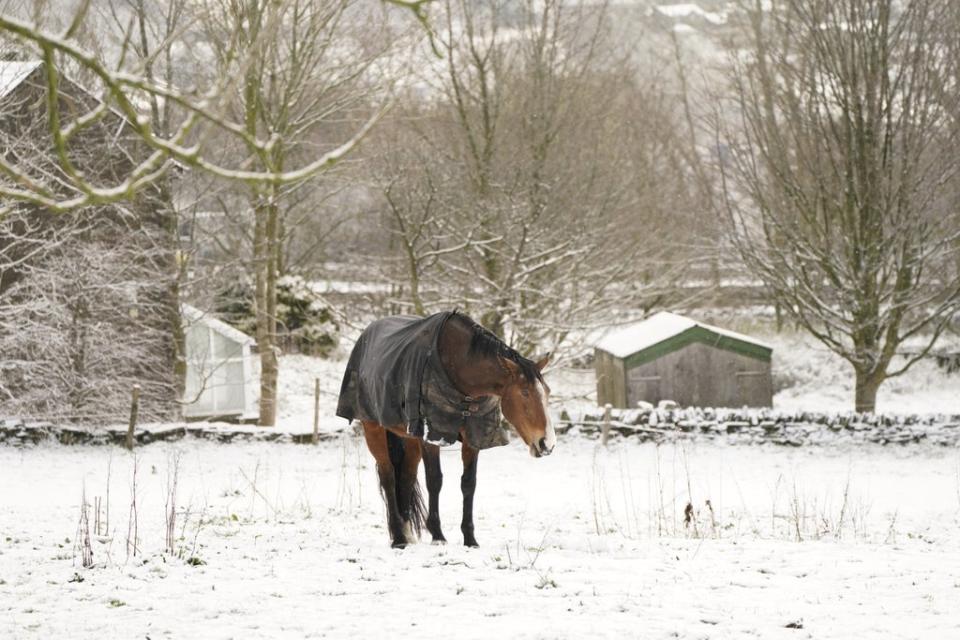 A horse in a snowy field in Outlane village in Kirklees, West Yorkshire (Danny Lawson/PA) (PA Wire)