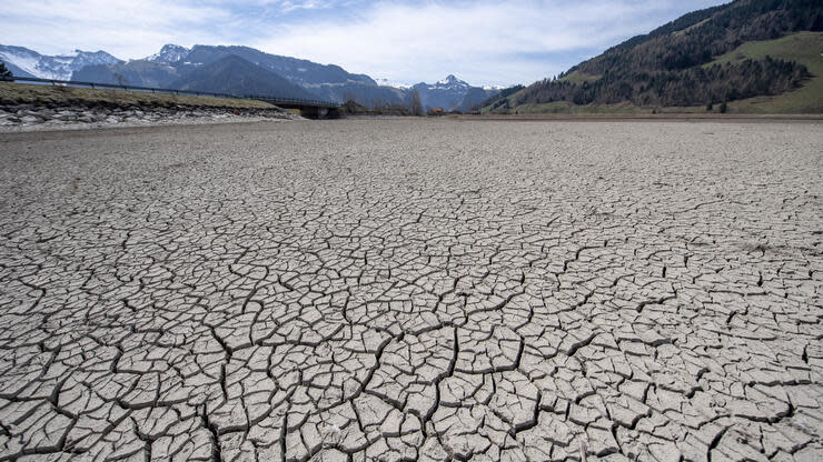 Der Sihlsee ist derzeit so trocken wie selten in den letzten Jahren. Eigentlich hätte der Wasserstand des Sees ab jetzt durch das Schneeschmelzwasser steigen müssen, aber in diesem Jahr fehlt es. Foto: dpa