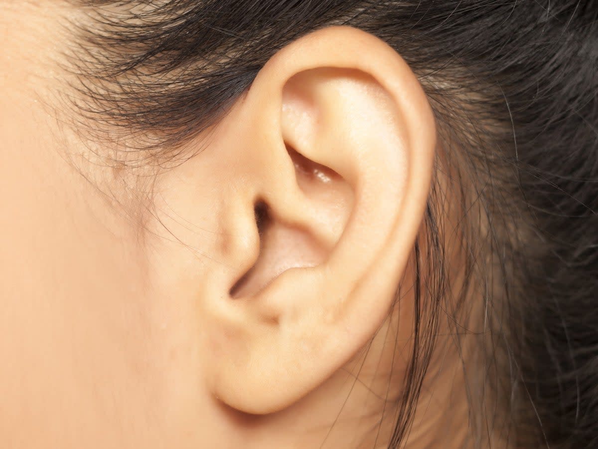 Researchers proposed an in-ear ‘bioelectronic’ brain-computer interface (iStock/ Getty Images)