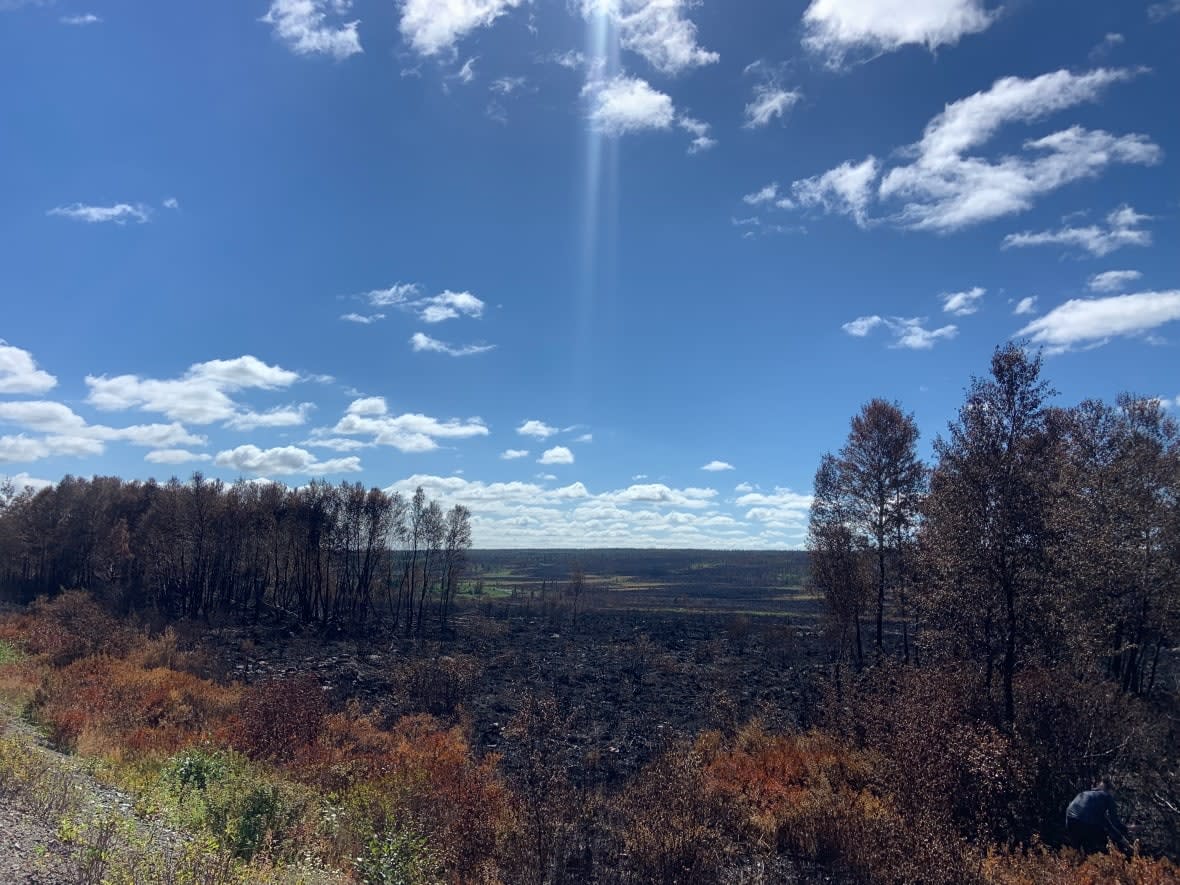 Changing weather conditions show the damage caused by a forest fire near the Bay d'Espoir Highway in central Newfoundland. Officials say air quality is better than expected and crews will be able to fight the fires on foot Thursday. (Darrell Roberts/CBC - image credit)