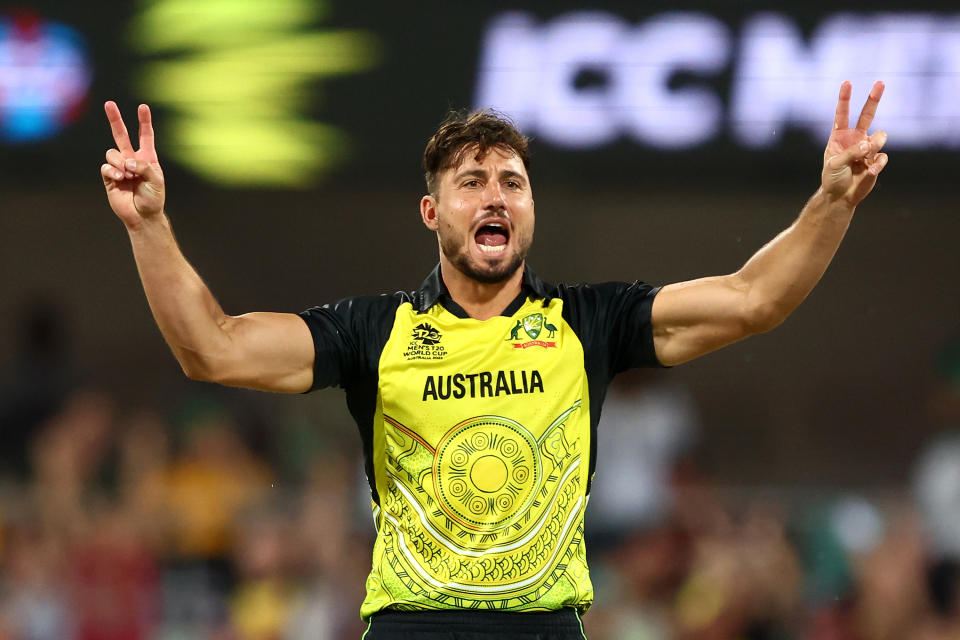 Marcus Stoinis (pictured) celebrates.