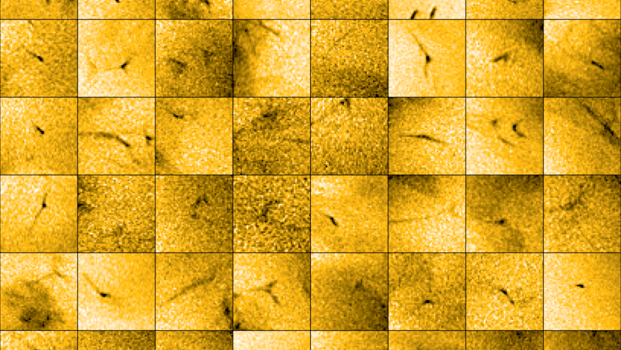  A mosaic of images showing black solar jets on the yellow background of the sun 