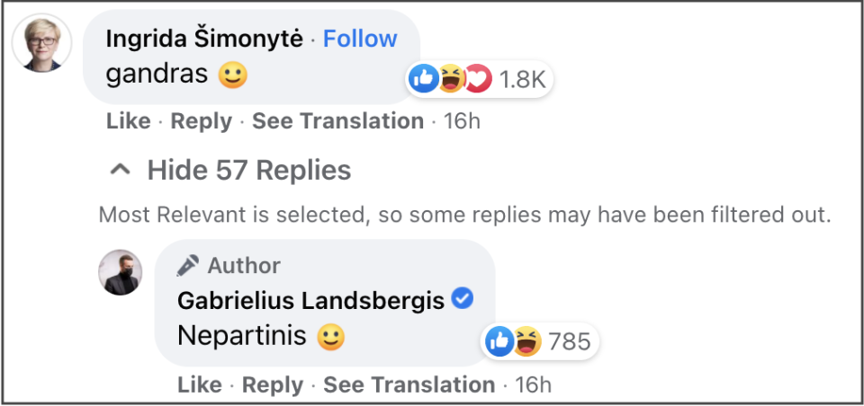 立陶宛總理希莫尼也留言「是白鸛」。（翻攝Gabrielius Landsbergis臉書）