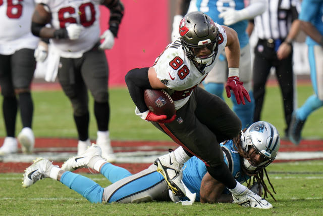 Panthers' division title hopes dashed in 30-24 loss to Bucs