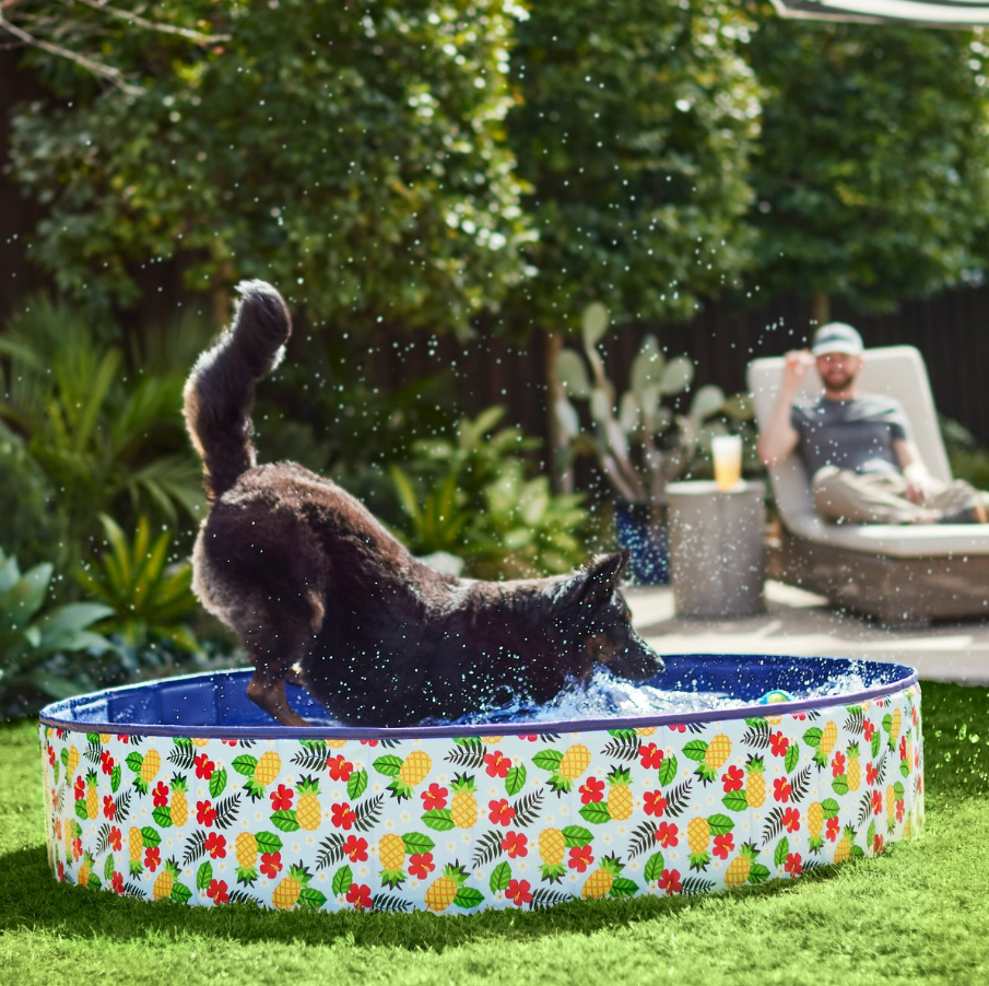 <p><a href="https://go.redirectingat.com?id=74968X1596630&url=https%3A%2F%2Fwww.chewy.com%2Ffrisco-outdoor-dog-swimming-pool%2Fdp%2F357907&sref=https%3A%2F%2Fwww.womansday.com%2Flife%2Fpet-care%2Fg60513868%2Fbest-dog-pools%2F" rel="nofollow noopener" target="_blank" data-ylk="slk:Shop Now;elm:context_link;itc:0;sec:content-canvas" class="link ">Shop Now</a></p><p>Outdoor Dog Swimming Pool, Hawaiian Print</p><p>Chewy</p><p>$68.27</p><span class="copyright">Frisco</span>