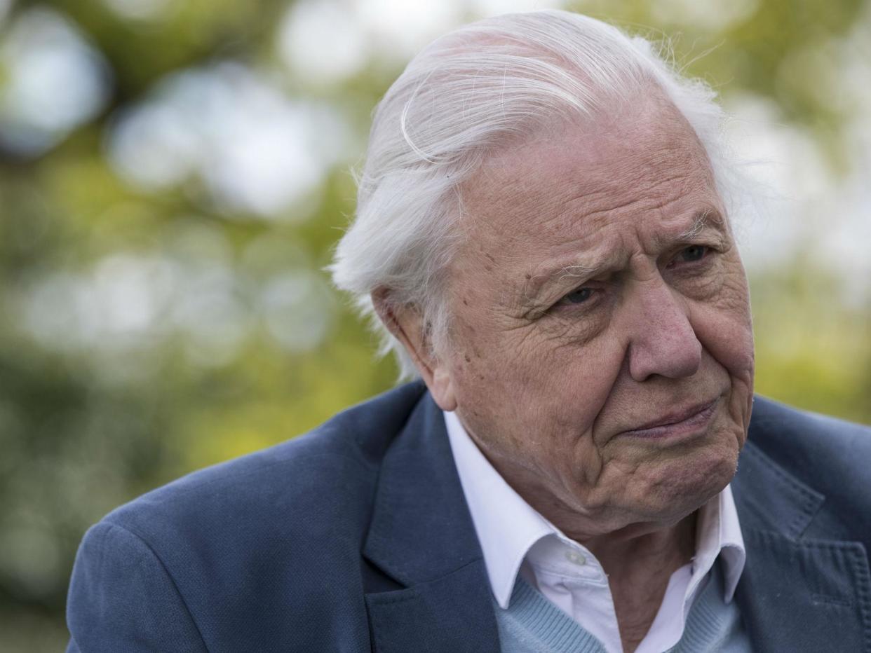 Sir David also spoke of ‘vested interests’ denying climate change: Getty