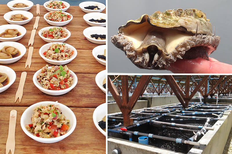 Heart of Abalone Tour - Photos by Rachel Robinson