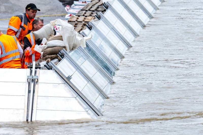 Helpers work on protective walls on the banks of the Danube in Regensburg.  For days, aid workers in Bavaria and Baden-Württemberg have been battling the flooding and its consequences.  Armin Weigel/dpa