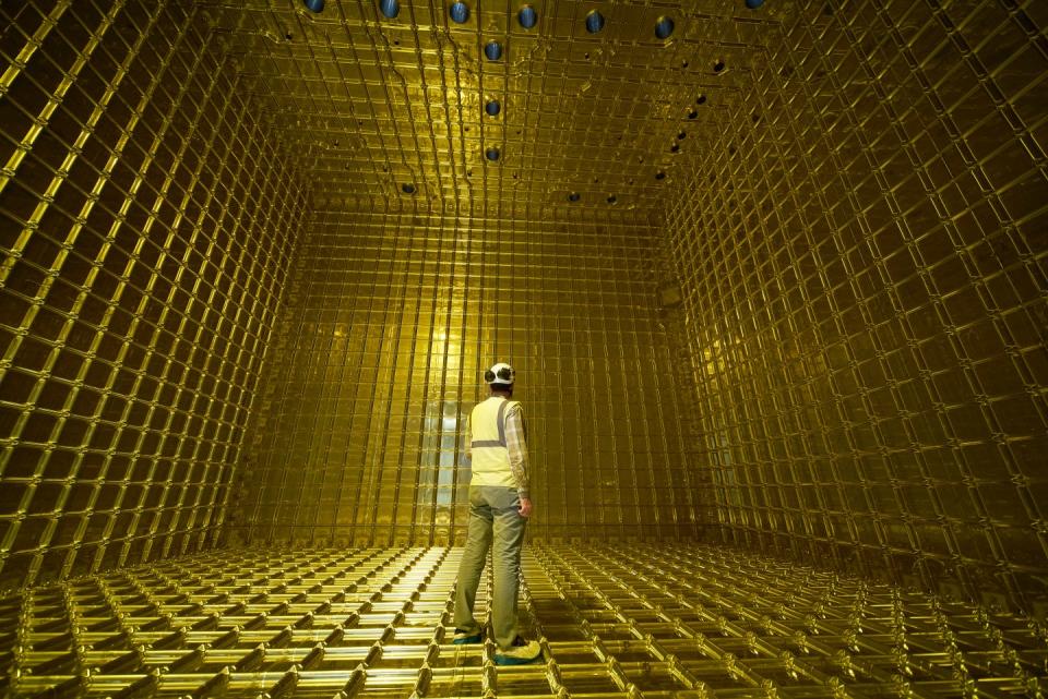 A person in a hard hat stands in a golden room, that is the protoDUNE experiment
