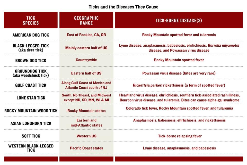 chart detail the diseases cause by different types of ticks