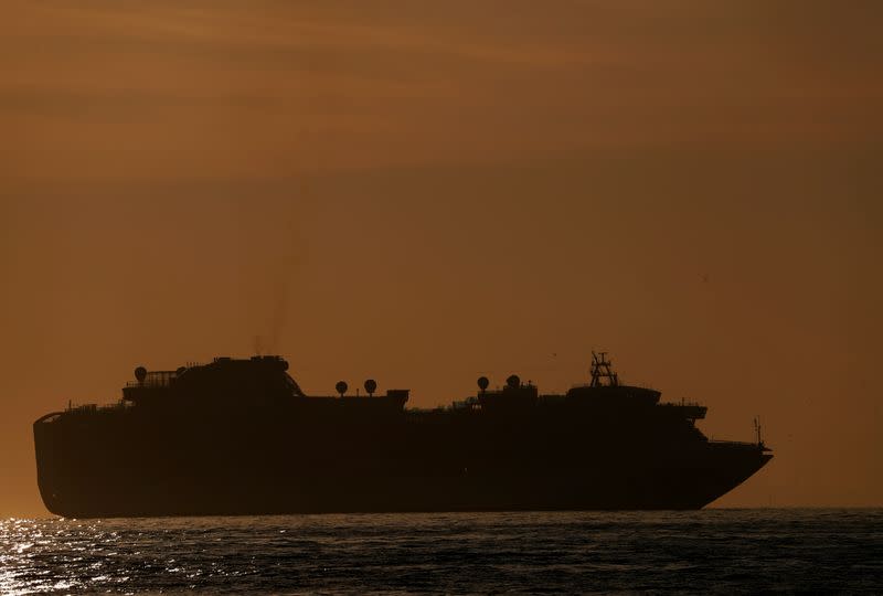 Cruise ship Diamond Princess is seen anchored off the Yokohama Port, after a Hong Kong passenger who sailed on the vessel last month tested positive for the Wuhan coronavirus, in Yokohama