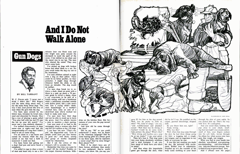 A clipping of an old field and stream article featuring an illustration of dogs.