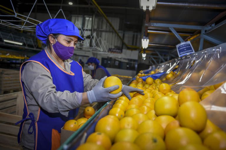 La industria de los cítricos también pide un tipo de cambio especial