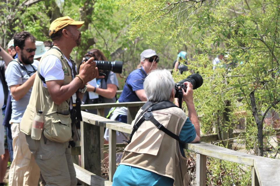 Thousands of birders descended on Magee Marsh Wildlife Area's boardwalk and other Northwest Ohio birding hot spots this week during the Biggest Week in American Birding celebration.