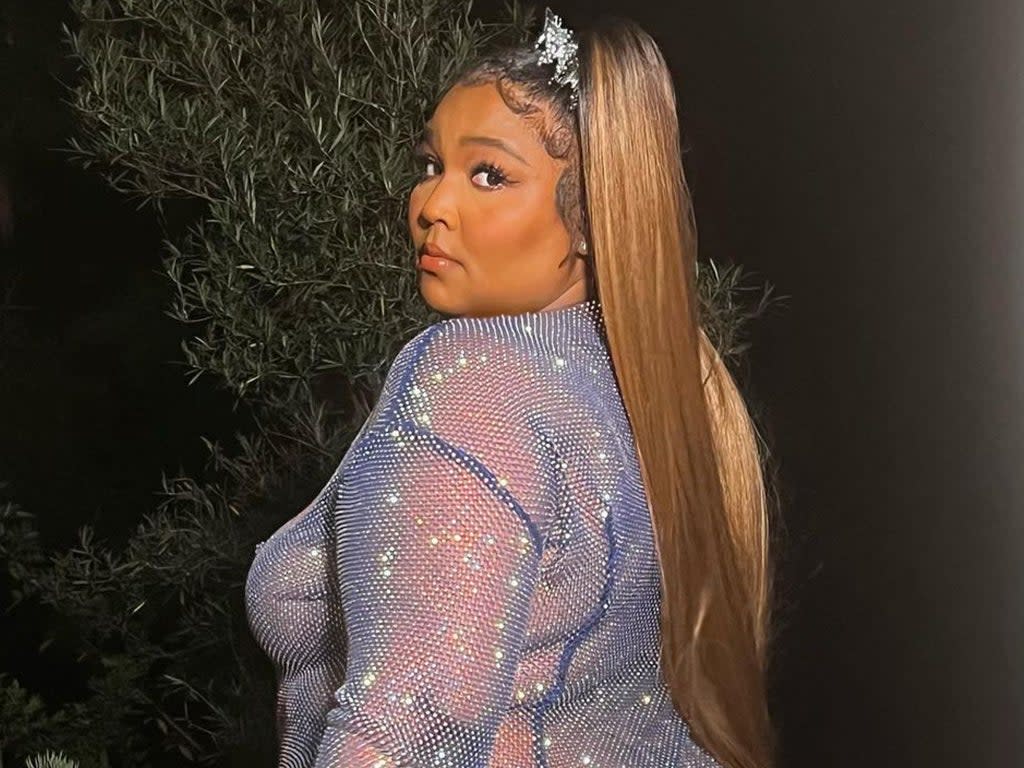 Lizzo in her sparkly sheer purple gown (Lizzo/Instagram)