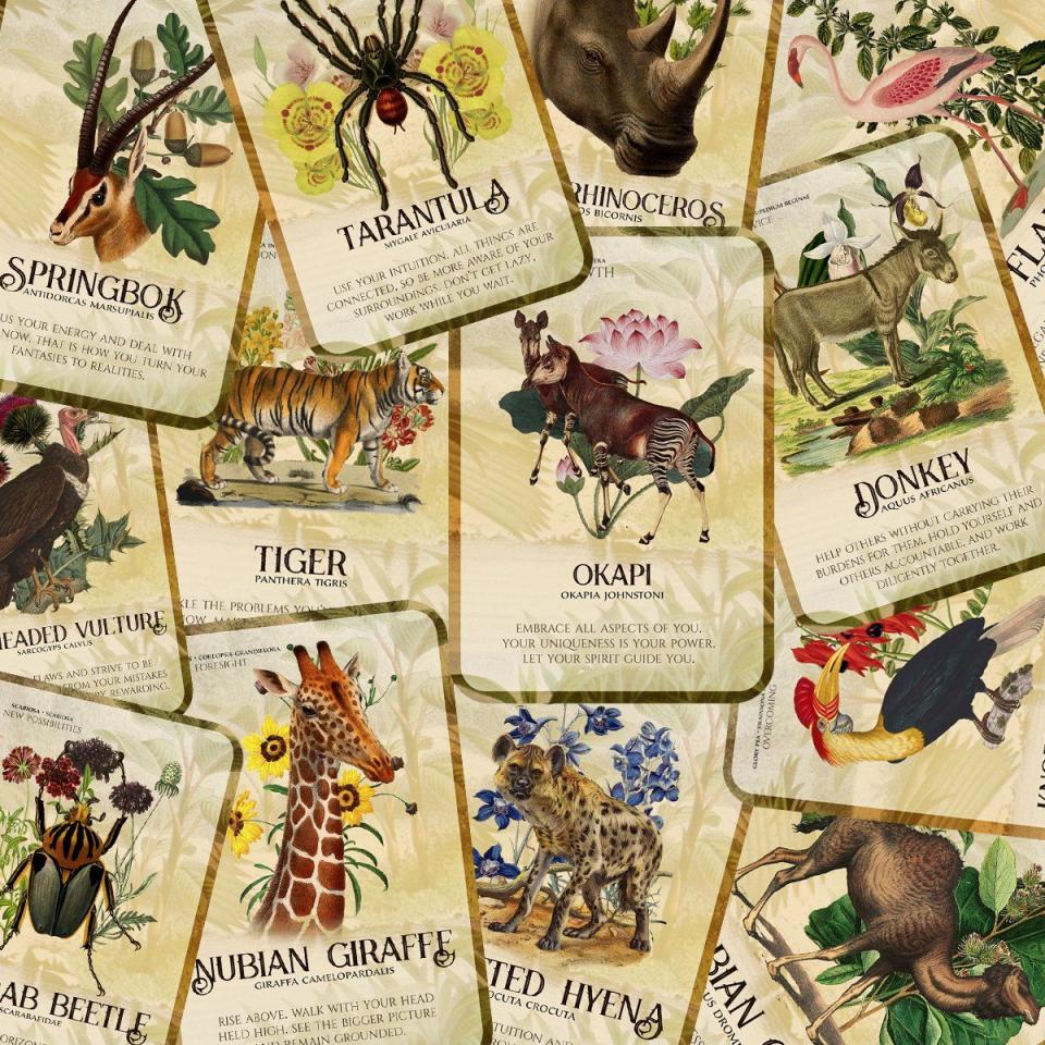 <p>jessijumanji.com</p><p><strong>$66.00</strong></p><p><a href="https://jessijumanji.com/products/flora-and-fauna-of-africa-oracle-deck-pre-order" rel="nofollow noopener" target="_blank" data-ylk="slk:Shop Now;elm:context_link;itc:0;sec:content-canvas" class="link ">Shop Now</a></p><p>Jessi Jumanji drew from African plant and animal life when creating this deck; each card features a plant or animal along with a message, such as an okapi with the message, “Embrace all aspects of you. Your uniqueness is your power. Let your spirit guide you.” </p>