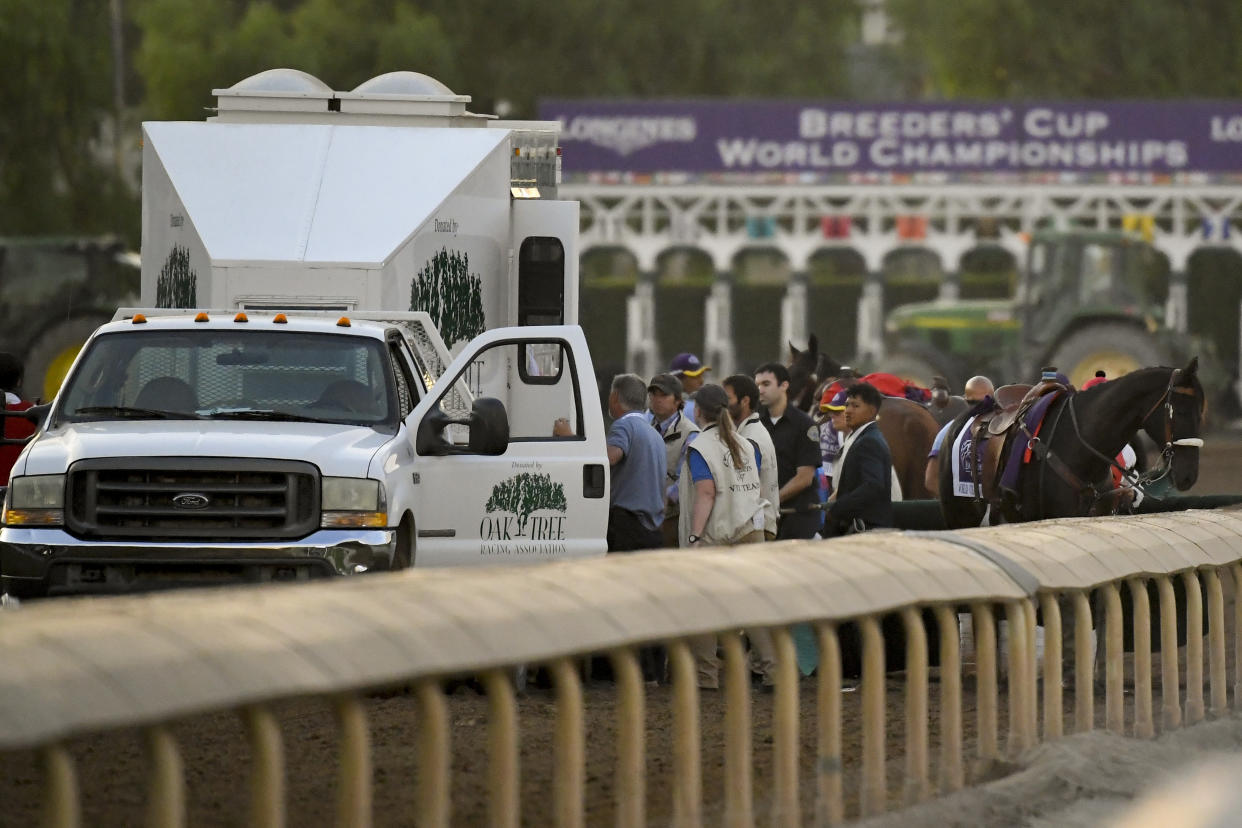 Track workers treat Mongolian Groom it broke down during the Breeders' Cup Classic horse race at Santa Anita Park, Saturday, Nov. 2, 2019, in Arcadia, Calif. The jockey eased him up near the eighth pole in the stretch. The on-call vet says he has "serious" injury to leg. Was taken to equine hospital on the grounds. (AP Photo/Mark J. Terrill)