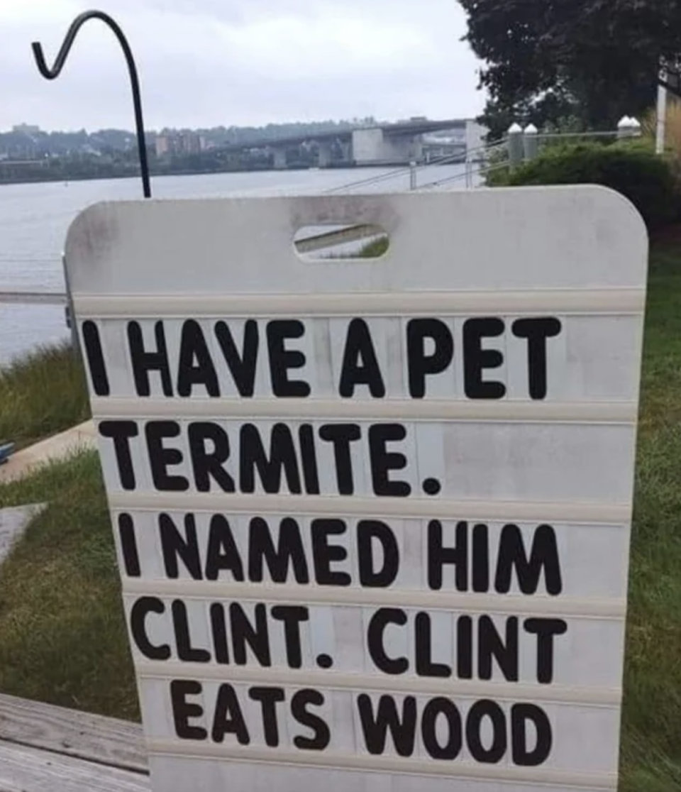 "I have a pet termite; I named him Clint: Clint Eats Wood"