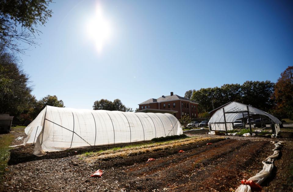 Springfield Community Gardens received a $500,000 grant from the Environmental Protection Agency to teach people about regenerative agriculture.