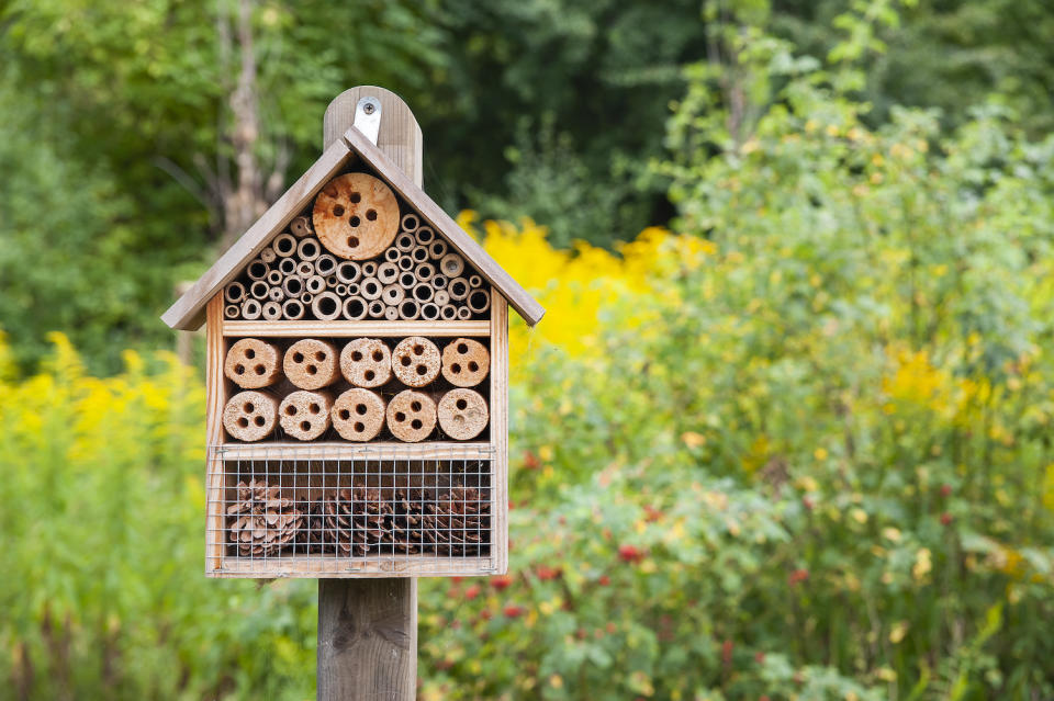 a bug hotel in a garden