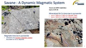 Savane Magmatic System