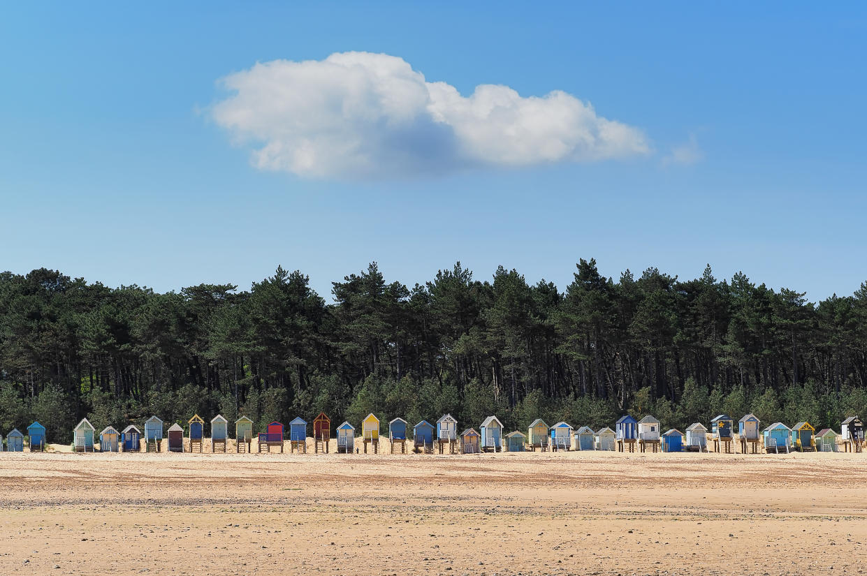 A row of colourful beach huts on Holkam beach with a row of pine trees behind them.