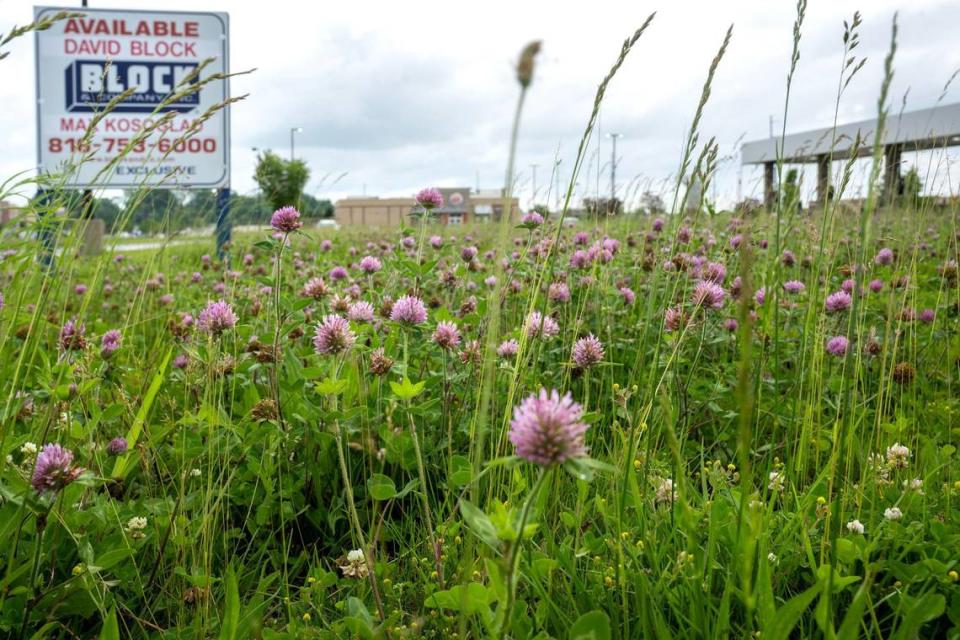 A vacant parcel of land, which is for sale, is within the Plaza at the Speedway shopping center in Kansas City, Kansas. The land is classified as hay farms because of a vague Kansas law and it is allowing owners to save on property taxes.