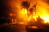 <p>A firefighter puts water on a palm tree in the back of a house on Rancho Vista Lane in Santa Paula, Calif., on Dec. 5, 2017. (Photo: Neal Waters via ZUMA Wire) </p>