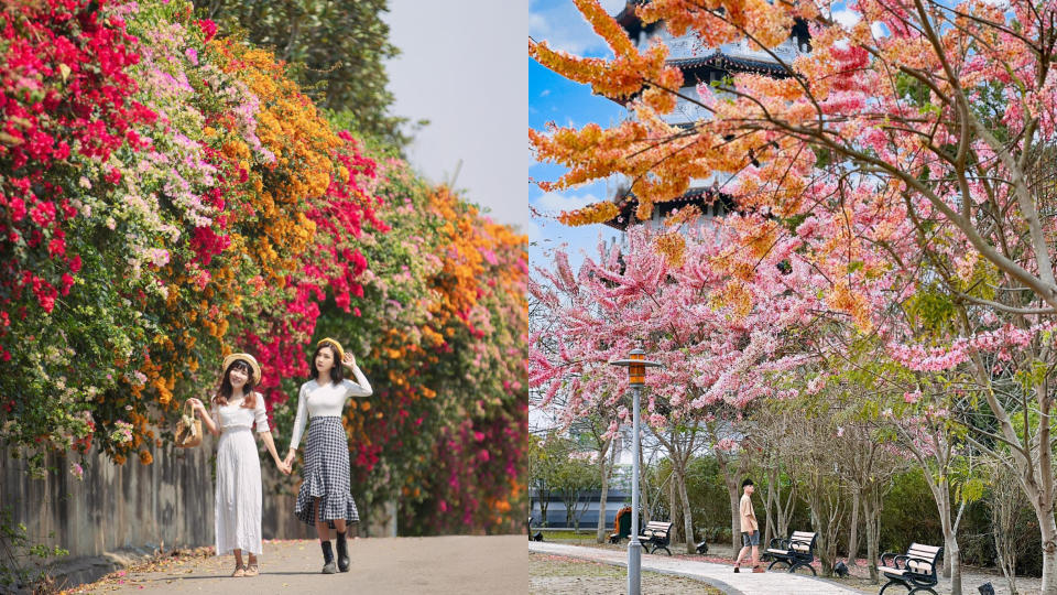 複習一下「這5處」彰化自然系景點 蜀葵花海、粉紅花旗木、綠色波波草！光用看的就好療癒呀