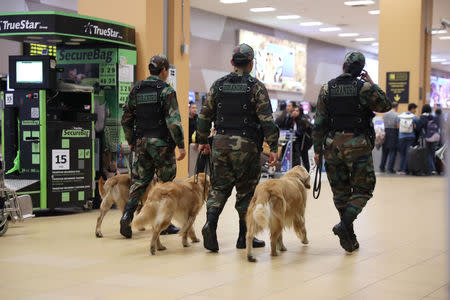 Police patrol with dogs near the LATAM airlines gates in Jorge Chavez airport in Callao, Peru, August 16, 2018. REUTERS/Mariana Bazo