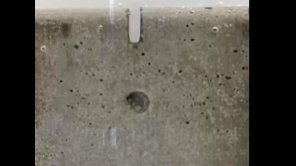 A piece of concrete under water with a crack and bubbles in the water