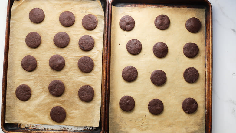 Trays of baked chocolate cookies