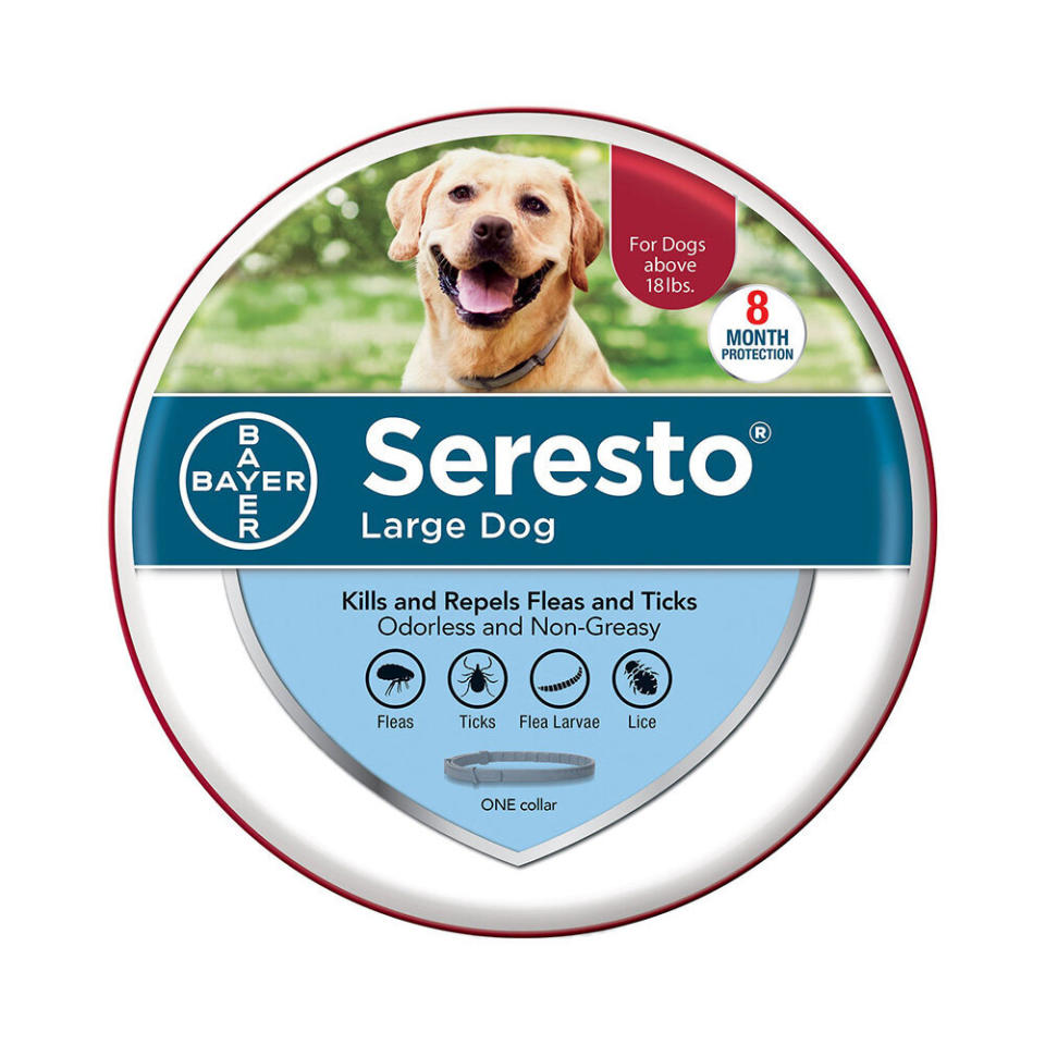 Seresto 8 Month Flea & Tick Prevention Collar. (Photo: Chewy)