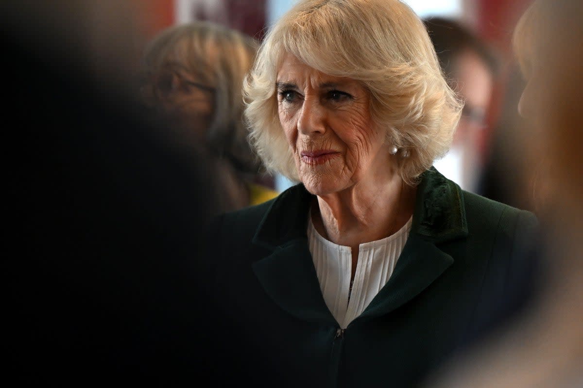 Camilla, the Queen Consort, also tested positive for the virus last February  (PA Wire)