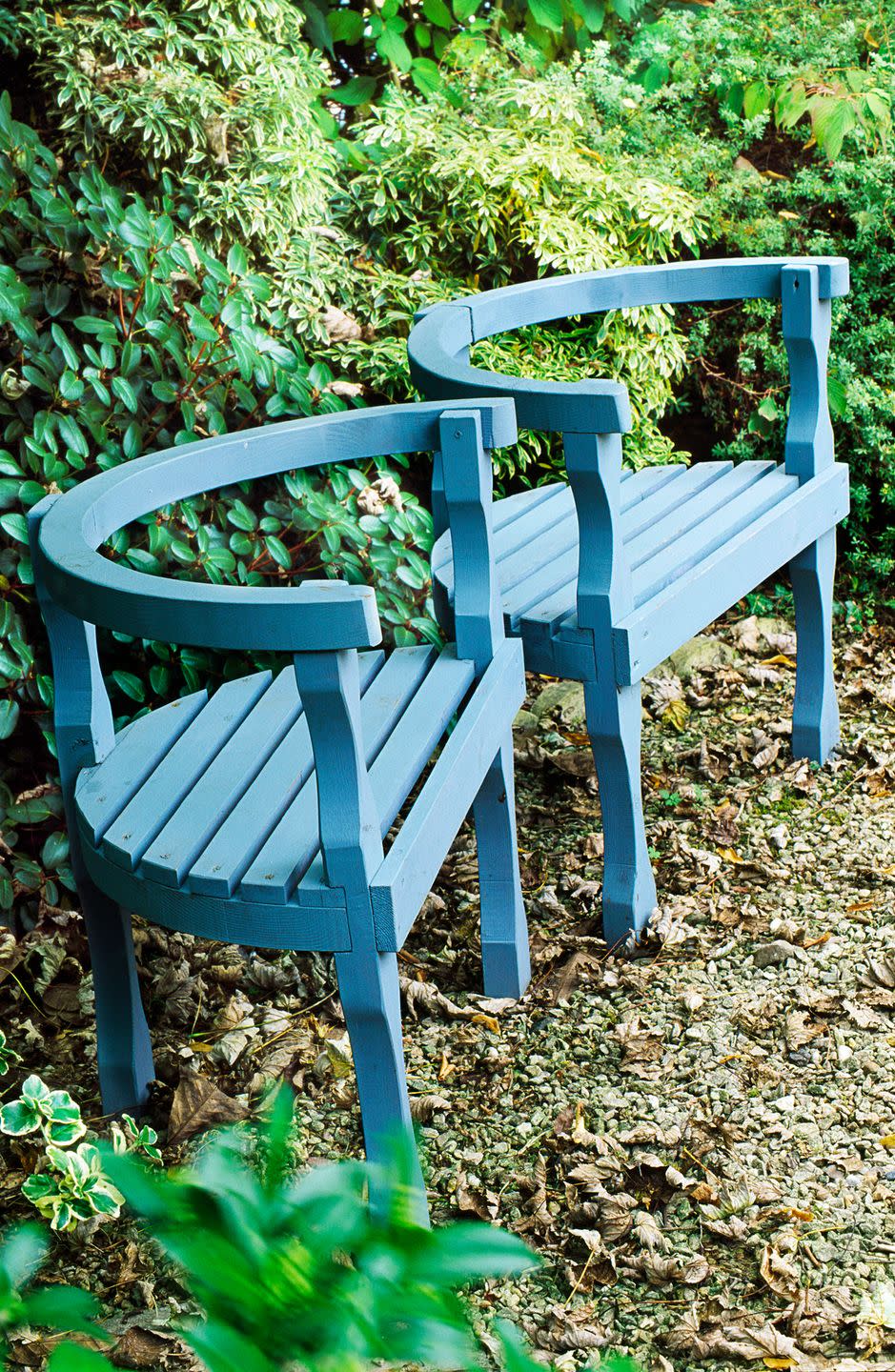 Vibrant Chairs