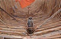 <p>A Pakistani carpenter works on a fishing boat at the harbor of Karachi, Pakistan, June 25, 2012. (AP Photo/Shakil Adil) </p>